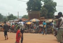 Cent (100) jours de Moloua 3 : reportage sur le terrain, de Bangui à Bangassou 100 jours de Moloua 3 : reportage sur le terrain, de Bangui à Bangassou