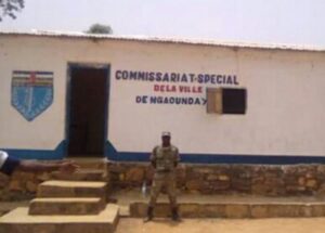 Braquage à main armée à l’entrée de Ngaoundaye : des commerçants dépouillés par des bandits