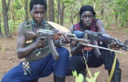 Les Tongo-Tongo se rapprochent de la frontière centrafricaine, et la panique s’empare du village Ligwa 25 km d’Obo