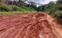 L’effondrement de l’axe Baoro-Carnot-Berbérati : Le naufrage routier, sport favori du régime Touadéra depuis 2016 La-route-Carnot-Berberati-dans-la-Mambere-kadei