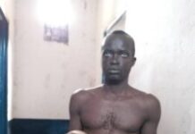 « J’ai vu les mains de Touadéra porter les têtes de plusieurs Centrafricains » : Charles Talingano livre une vision qu’il présente comme un avertissement Les trafiquants d’organes humains deviennent les bailleurs de fonds de la Sangha-Mbaéré