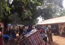 Du rêve de l’intégration au cauchemar du Code pénal : L’effroyable réalité des jeunes diplômés centrafricains Du rêve de l'intégration au cauchemar du Code pénal : L'effroyable réalité des jeunes diplômés centrafricains