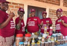 Innovation et Entrepreneuriat : Journée de la Créativité en Centrafrique Innovation et Entrepreneuriat : Journée de la Créativité en Centrafrique