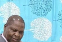 Centrafrique : Fidèle Gouandjika dénonce l’incompétence des ministres du gouvernement Moloua 3 Touadera livre des permis miniers comme des bonbons aux copains du régime : Yero Mining, Kansgold, Evra Patrice Yandoube