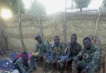Justice populaire à Ouadda-Maïkkaga : trois personnes tuées par les soldats FACA après une accusation de sorcellerie Justice populaire à Ouadda-Maïkkaga : trois personnes tuées par les soldats FACA après une accusation de sorcellerie