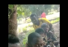 Centrafrique : les trois soldats FACA déserteurs de Birao poursuivent leur route vers Bangui. Ils sont actuellement à Sam-Ouandja Poussés à la désertion par le non-paiement de la PGA et la montée en puissance de la famine, les soldats sont sur le point d'abandonner totalement la ville de Sikikidé