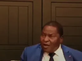 Touadéra appelle au retour patriotique de la diaspora, mais à Bangui, la peur règne : tabassages, passeports bloqués et menaces pour ceux qui osent parler. La vérité brute d’un Centrafricain à Touadera
