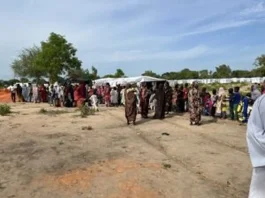 CENTRAFRIQUE : PLUS DE 500 000 CONSULTATIONS ET UNE HAUSSE RECORD DES VACCINATIONS POUR MSF EN 2025 CENTRAFRIQUE : PLUS DE 500 000 CONSULTATIONS ET UNE HAUSSE RECORD DES VACCINATIONS POUR MSF EN 2025