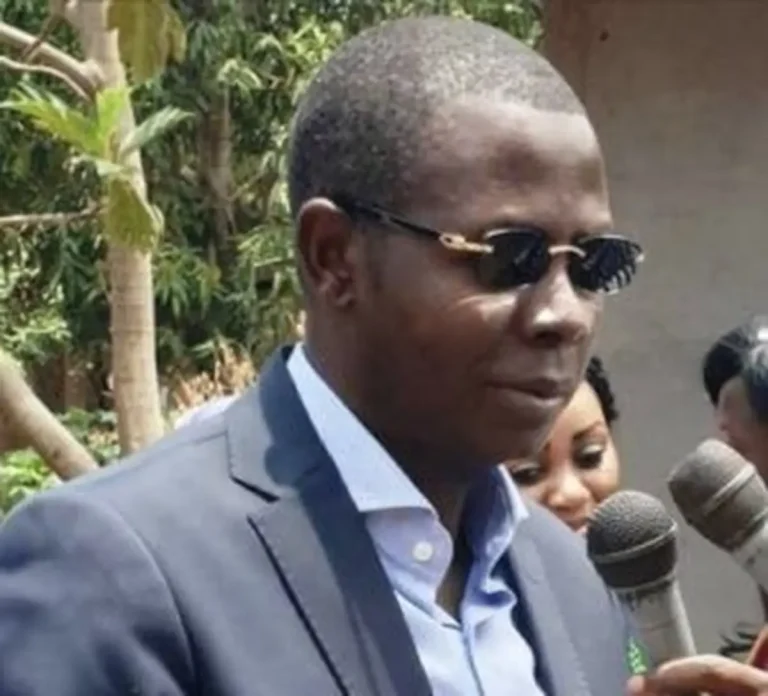 Maître Crépin Mboli-Goumba : « Un juriste approximatif qui réduit le rôle du Conseil constitutionnel aux questions des contentieux électoraux », le grand sorcier de Carnot, le faux diplômé Évariste Ngamana violemment recadré par le président du Patri