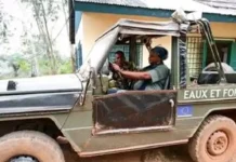 La Centrafrique officialise les réserves de Botambi et Pama après les coupes massives du groupe Wagner La Centrafrique officialise les réserves de Botambi et Pama après les coupes massives du groupe Wagner