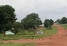 À Bocaranga , les barrières illégales refont surface, et les forces de l’ordre multiplient des exactions sur la population À Bocaranga , les barrières illégales refont surface, et les forces de l’ordre multiplient des exactions sur la population