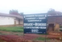 Bozoum : le père de la victime du viol, incroyablement incarcéré, est finalement libéré après un procès spectaculaire et digne d’un filme de la mafia italienne Bozoum : le père de la victime du viol, incroyablement incarcéré, est finalement libéré après un procès spectaculaire et digne d’un filme de la mafia italienne