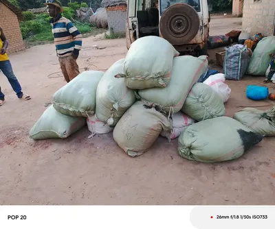 Déchargement des marchandises transportées par un véhicule faisant navette entre Mboki et Obo