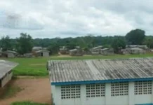 Centrafrique : l’Union européenne veut électrifier Bayanga, le projet solaire retardé par un manque de poteaux