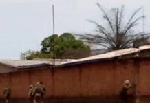 La terreur par des tirs d’armes: la stratégie de traumatisme sonore des mercenaires russes dans le Haut-Mbomou La terreur par des tirs d’armes: la stratégie de traumatisme sonore des mercenaires russes dans le Haut-Mbomou