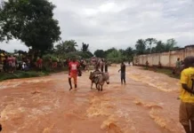 Inondations en Centrafrique : Le peuple toujours dans la boue, les autorités brillent dans la propagande pathétique et les fausses promesses Inondations en Centrafrique : Le peuple toujours dans la boue, les autorités brillent dans la propagande pathétique et les fausses promesses
