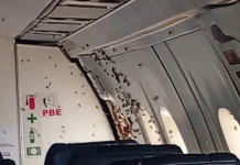 Centrafrique : un avion humanitaire contraint d’atterrir à Bambari après l’intrusion d’abeilles à bord Les abeilles à bord d’un petit avion qui a quitté Bangui pour aller vers bangha sous