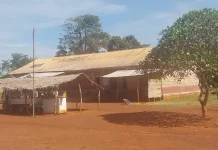 Enquête exclusive : à Gambo, dans le Mbomou, l’hôpital est devenu un mouroir pour la population faute de personnel qualifié et d’équipements médicaux Enquête exclusive : à Gambo, dans le Mbomou, l’hôpital est devenu un mouroir pour la population faute de personnel qualifié et d’équipements médicaux